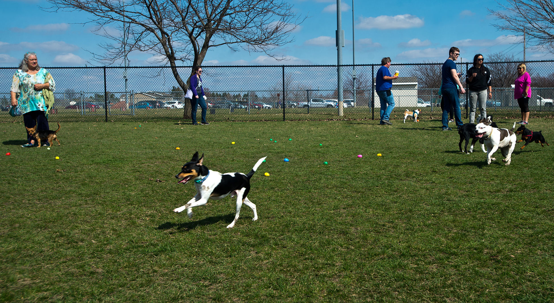 040719-blm-loc-24eastereggs